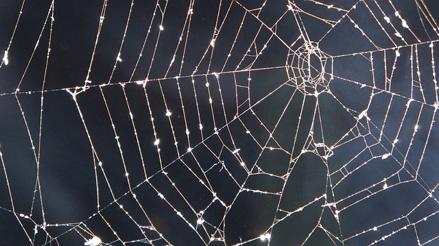 web