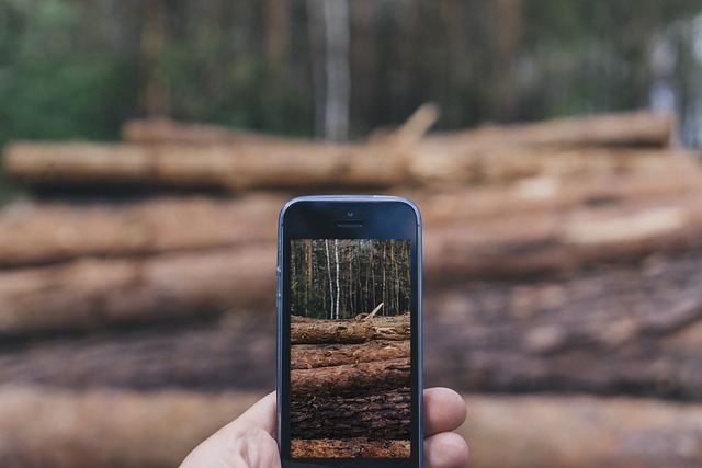 smartphone
