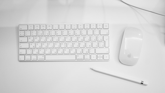 blogging