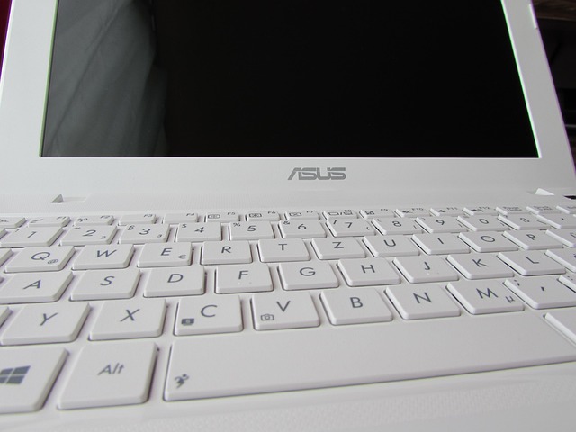 blogging