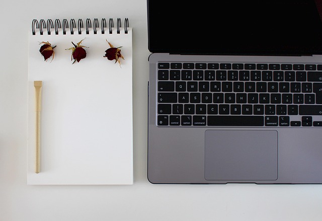 blogging