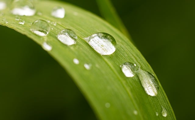 environment